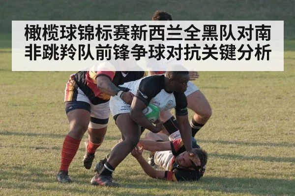 橄榄球锦标赛新西兰全黑队对南非跳羚队前锋争球对抗关键分析